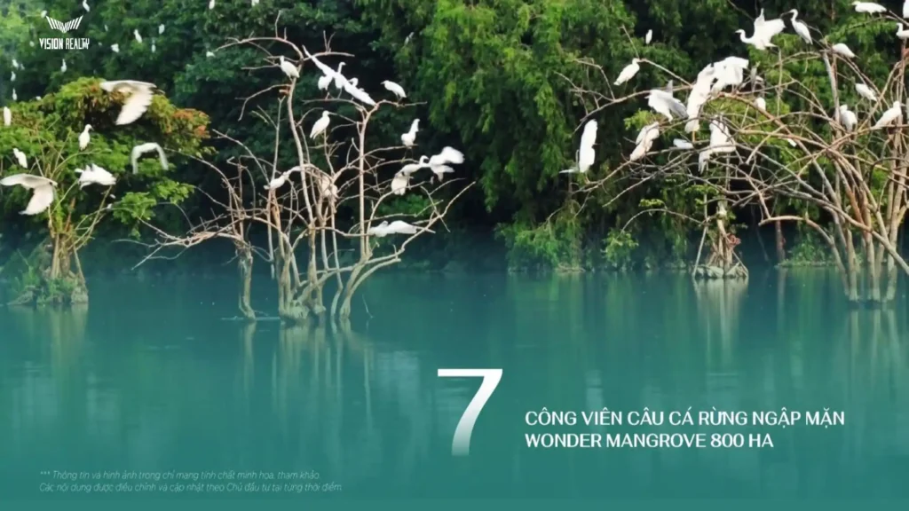 Công viên câu cá rừng ngập mặn Wonder Mangrove 800 ha.